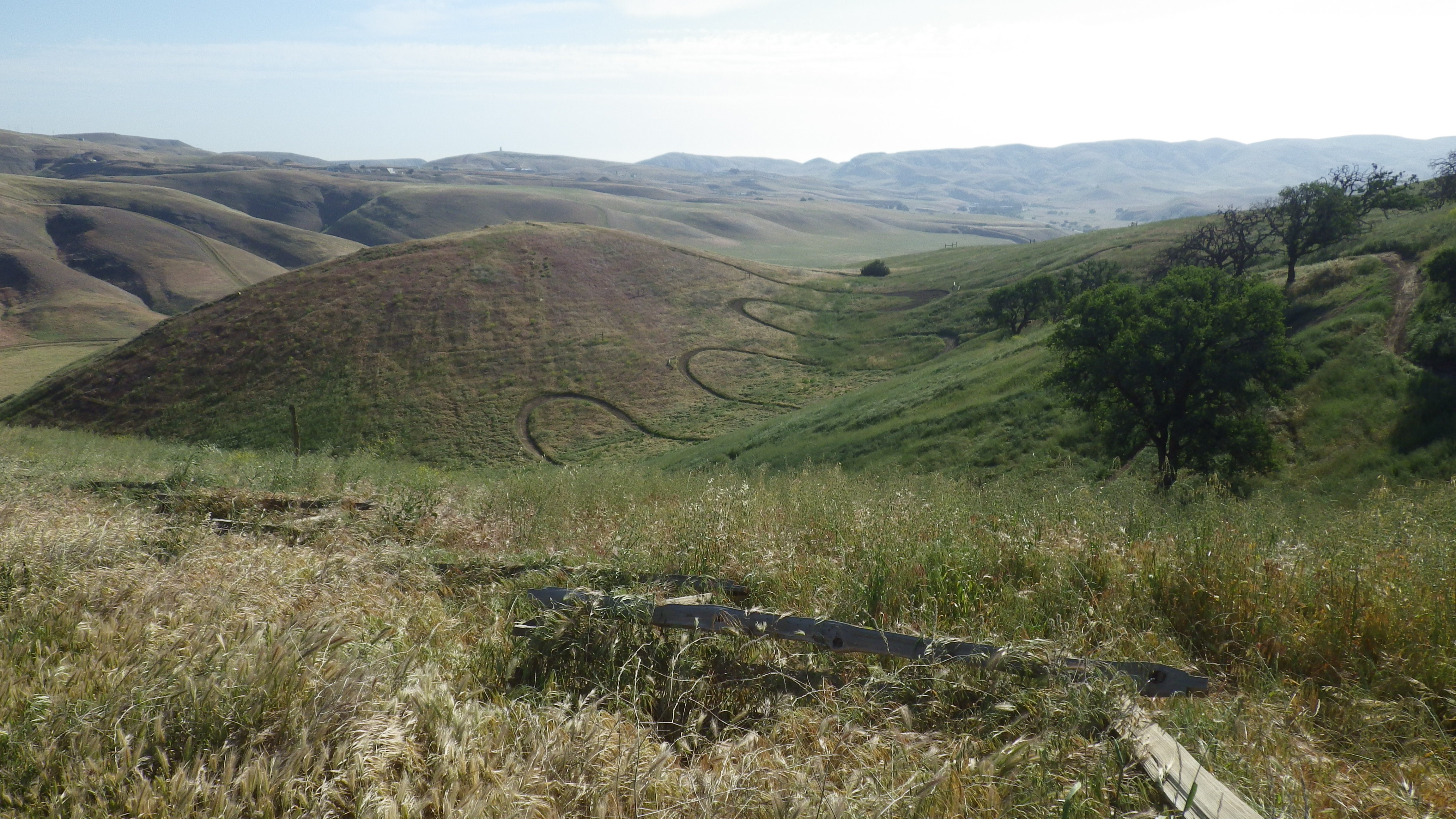 Harrison Hill with trails